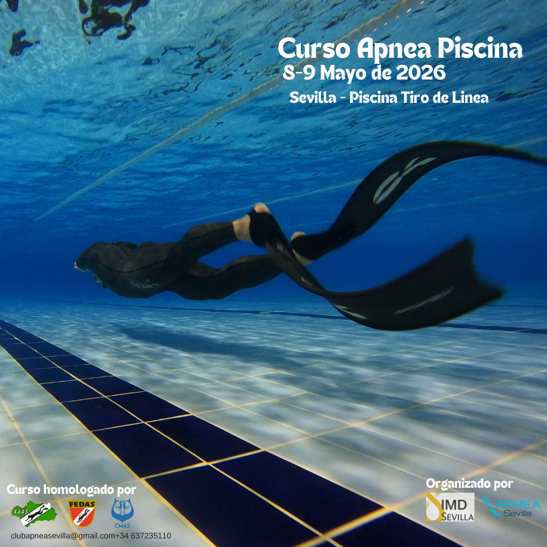 Curso Apnea Piscina Mayo 2026